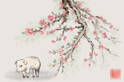 十二生肖猪与什么生肖最配 和属虎的女人是天生的一对 十二生肖猪与什么生肖最配 和属虎的女人是天生的一对