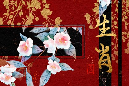 虎年跟什么生肖配 和属马的人是朝气蓬勃的一对 虎年跟什么生肖配 和属马的人是朝气蓬勃的一对