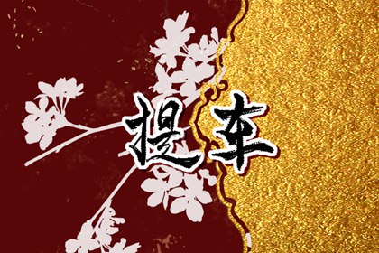 2024年春节可以扫墓吗 崇拜最佳时间 2024年春节可以扫墓吗 崇拜最佳时间