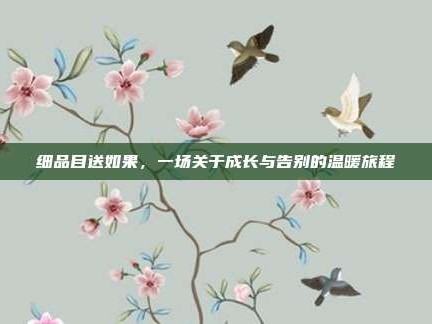 细品目送如果，一场关于成长与告别的温暖旅程